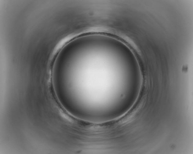 X0000091931366200709051452
