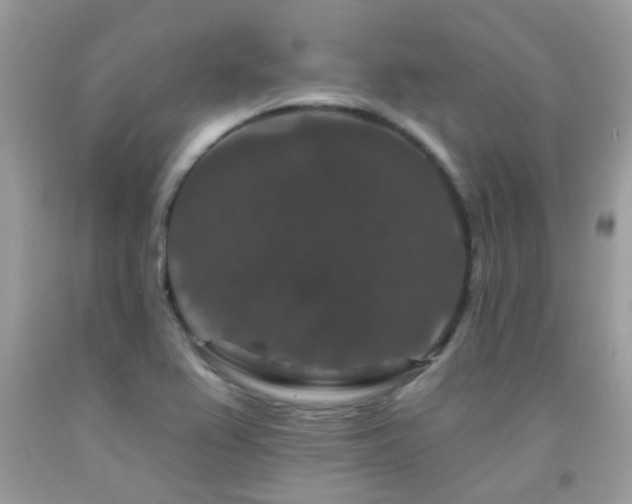 X0000091931367200709051452
