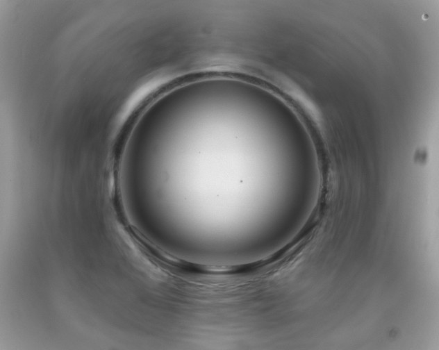 X0000091931368200709051452