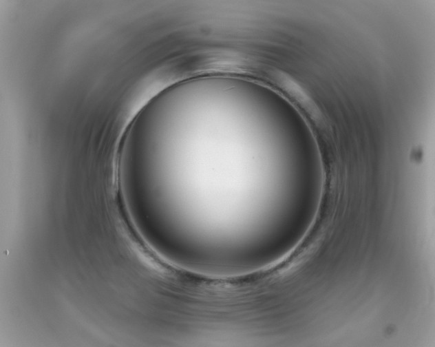 X0000091931370200709051452
