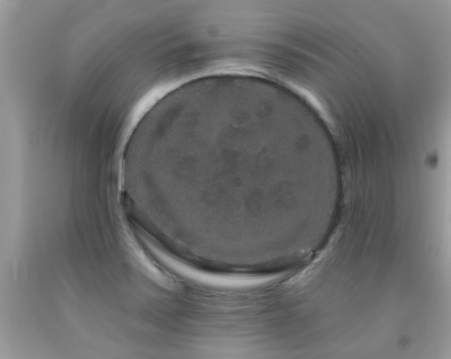 X0000091931371200709051452