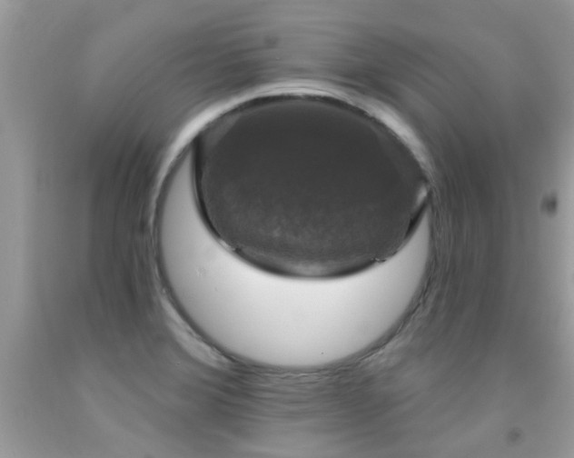 X0000091931372200709051452