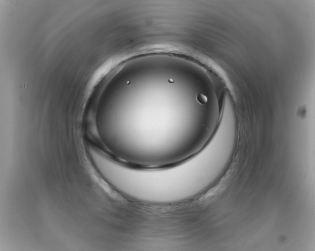 X0000091931373200709051452