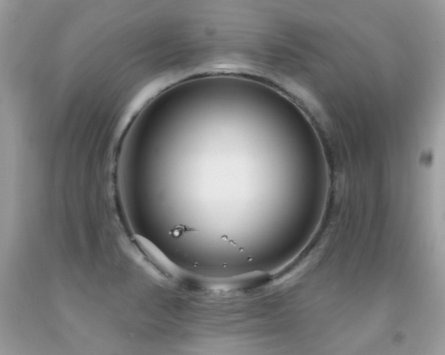 X0000091931374200709051452