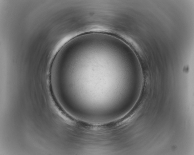 X0000091931375200709051452