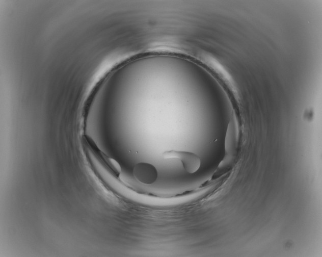 X0000091931376200709051452