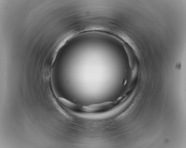 X0000091931377200709051452