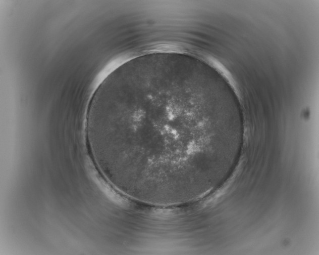 X0000091931378200709051452