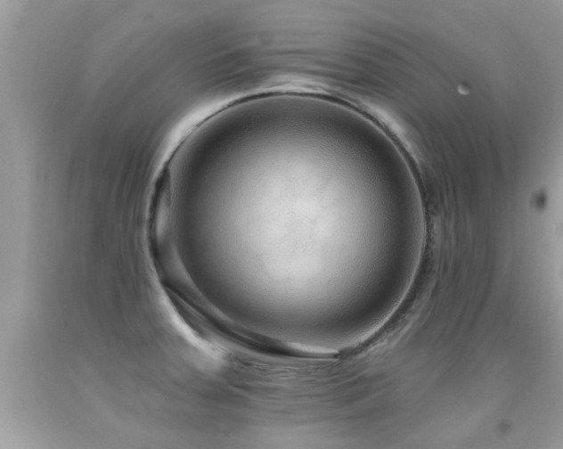 X0000091931379200709051452