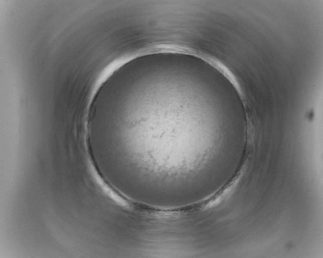 X0000091931381200709051452