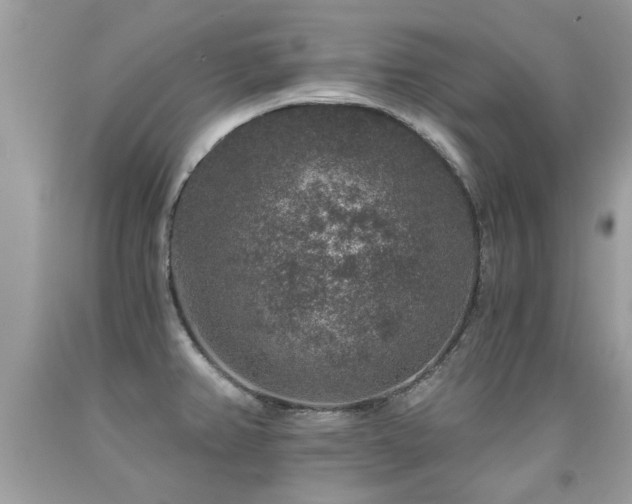 X0000091931382200709051452