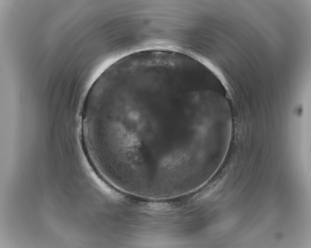 X0000091931383200709051452