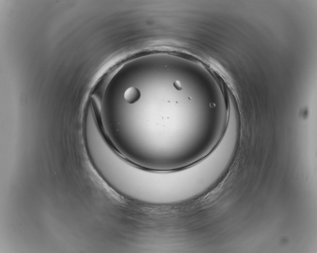 X0000091931384200709051452
