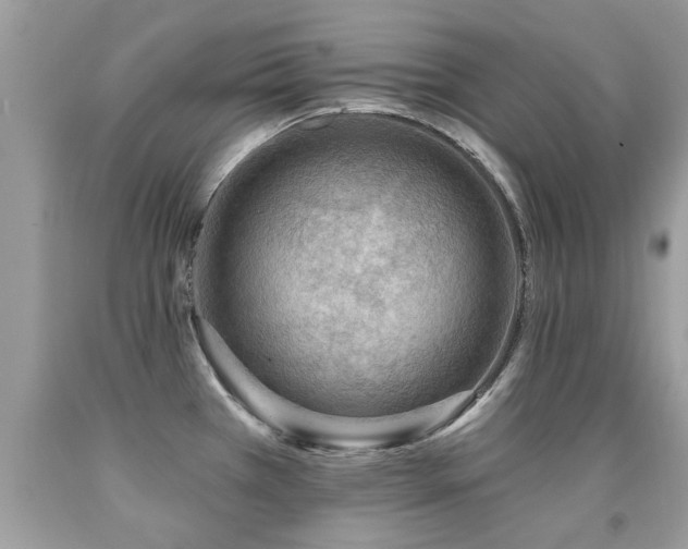 X0000091931385200709051452