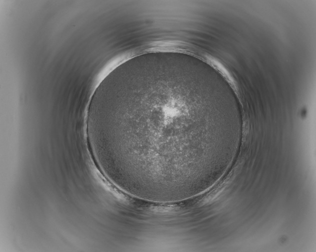 X0000091931386200709051452