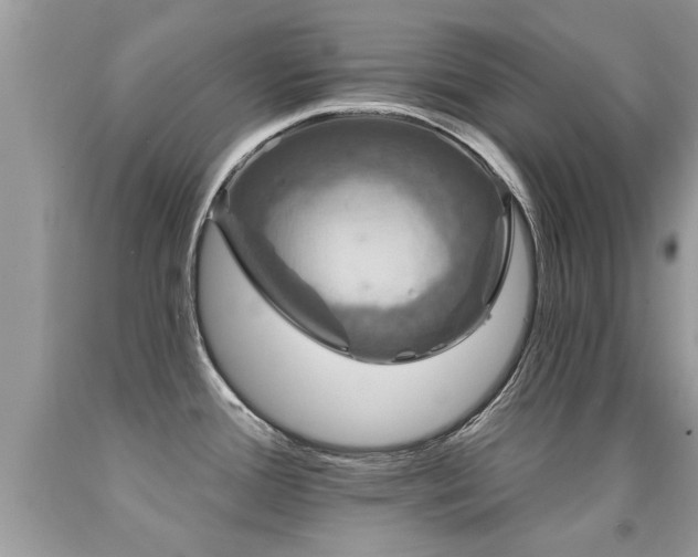 X0000091931388200709051452