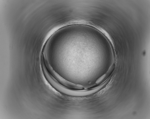 X0000091931389200709051452