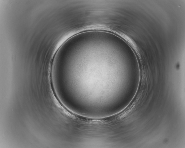 X0000091931390200709051452