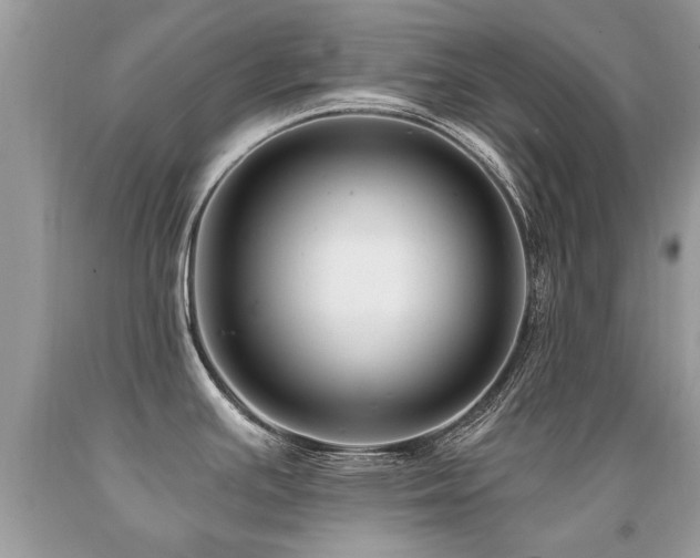 X0000091931391200709051452