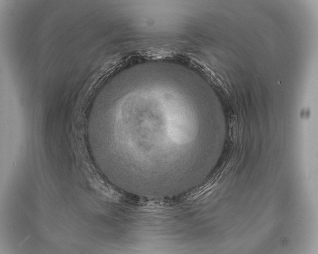 X0000091931393200709051451