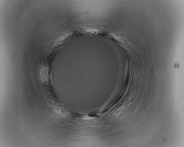 X0000091931394200709051451