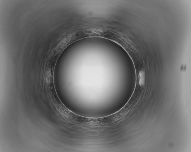 X0000091931395200709051451