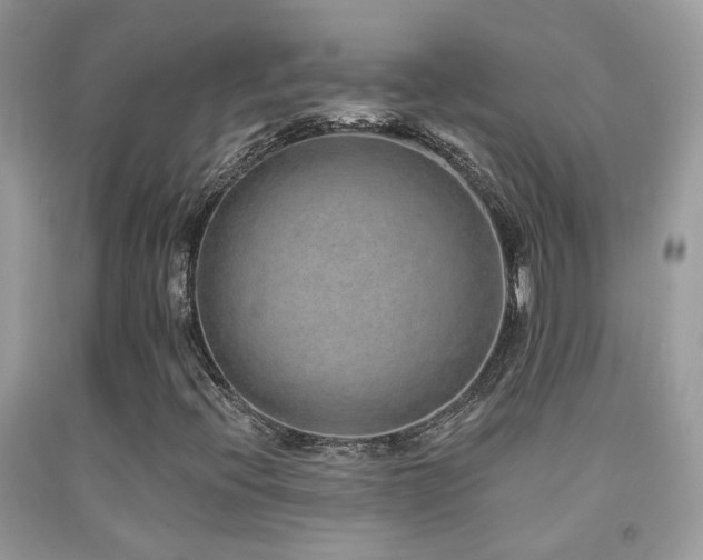 X0000091931396200709051451