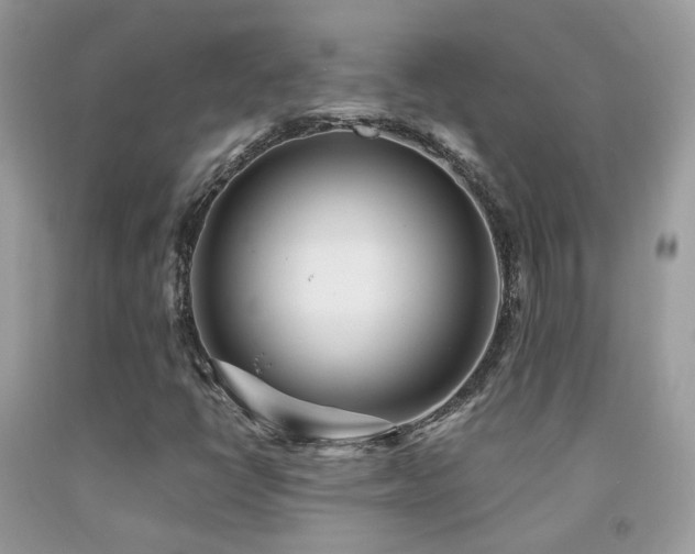X0000091931398200709051451