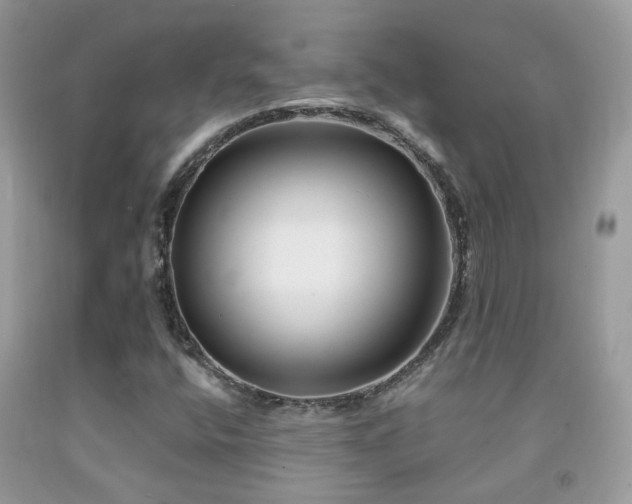 X0000091931400200709051451