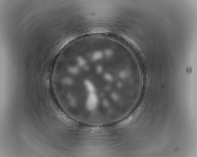 X0000091931401200709051451