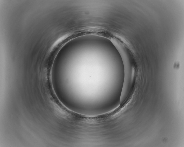 X0000091931402200709051451