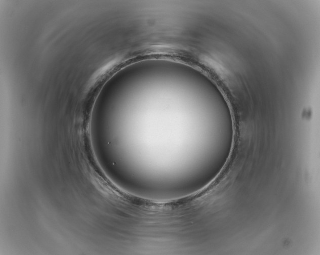 X0000091931403200709051451