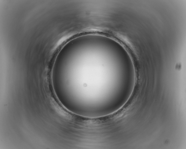 X0000091931404200709051452