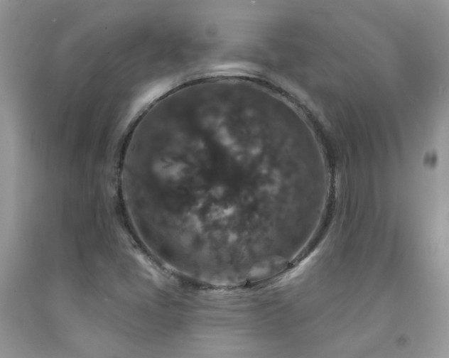 X0000091931405200709051452