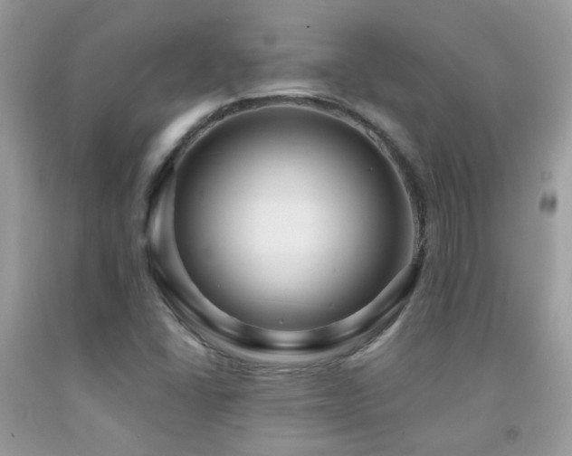 X0000091931406200709051452