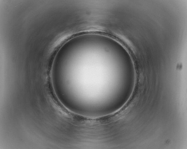 X0000091931407200709051452