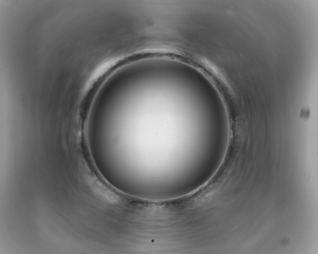 X0000091931408200709051452