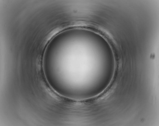 X0000091931409200709051452
