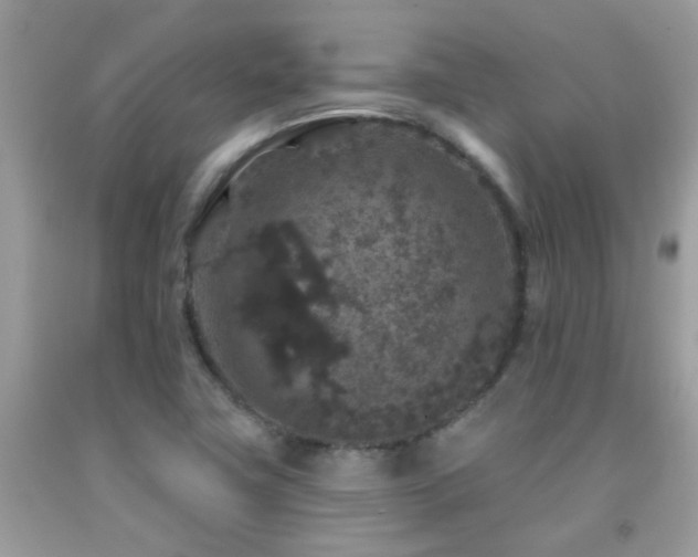 X0000091931411200709051452