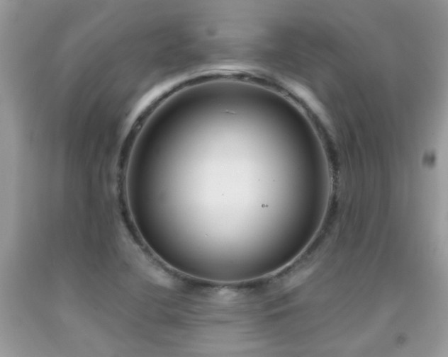 X0000091931412200709051452