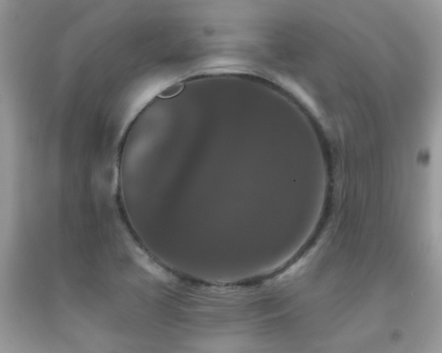 X0000091931413200709051452