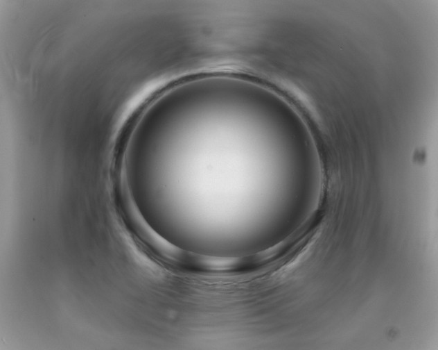 X0000091931414200709051452