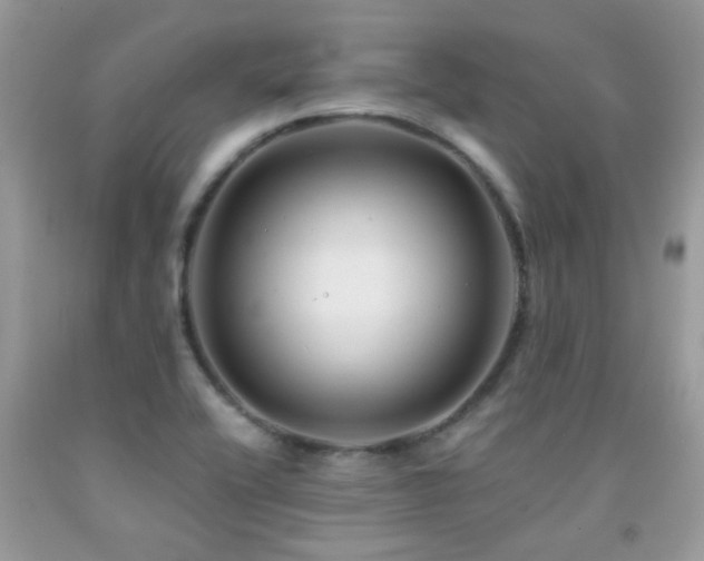 X0000091931416200709051452