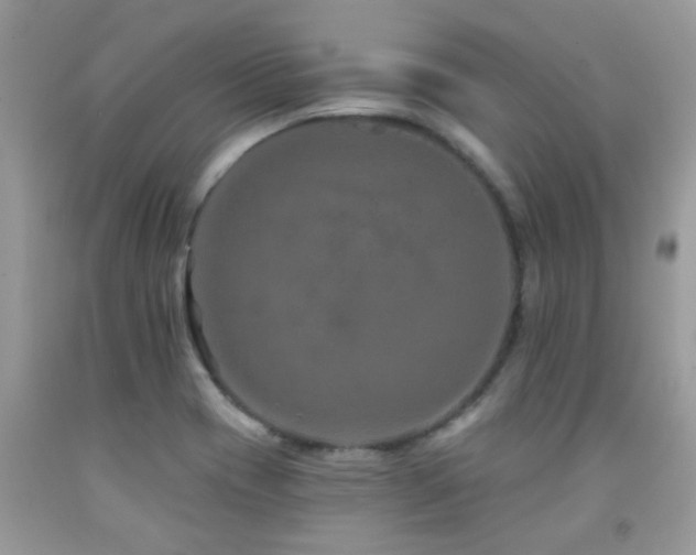 X0000091931417200709051452