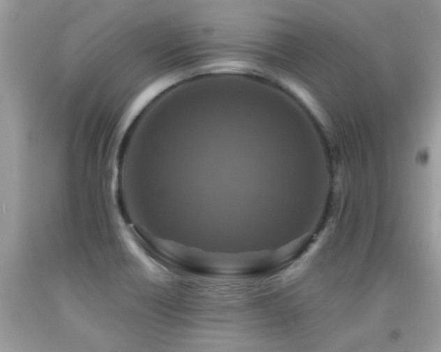 X0000091931418200709051452