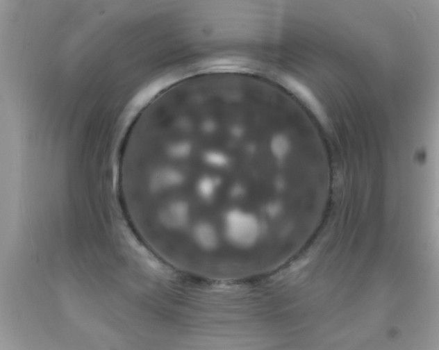 X0000091931419200709051452