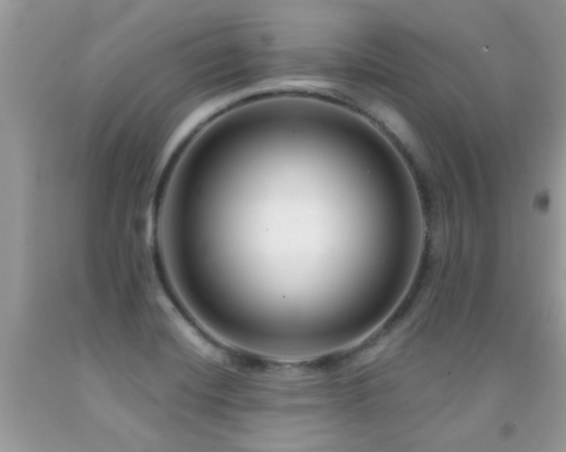X0000091931420200709051452