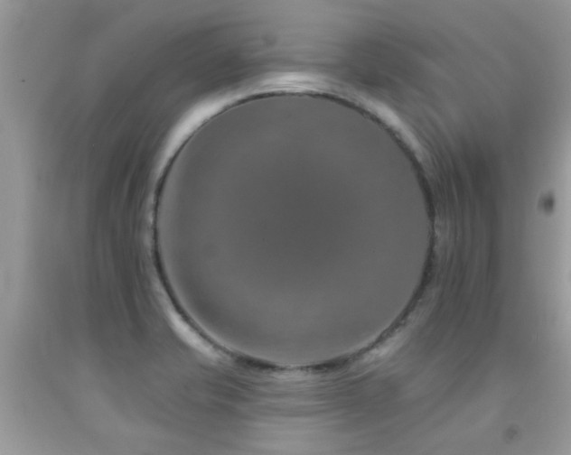 X0000091931421200709051452