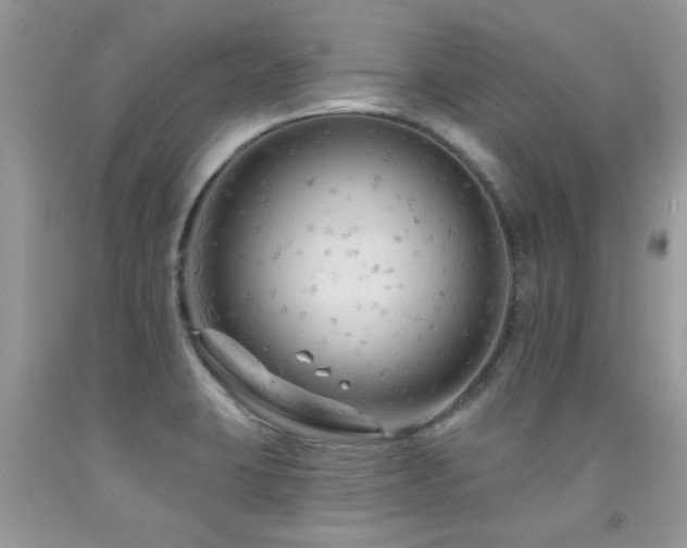 X0000091931423200709051452