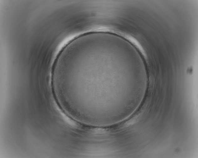 X0000091931424200709051452